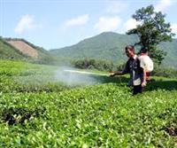 10 lý do sử dụng phân hữu cơ