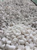 White pebbles